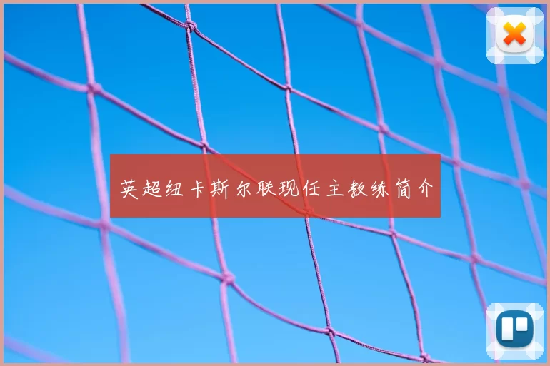 英超纽卡斯尔联现任主教练简介