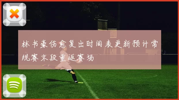 林书豪伤愈复出时间表更新预计常规赛末段重返赛场