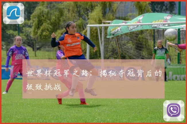 世界杯冠军之路：揭秘夺冠背后的极致挑战