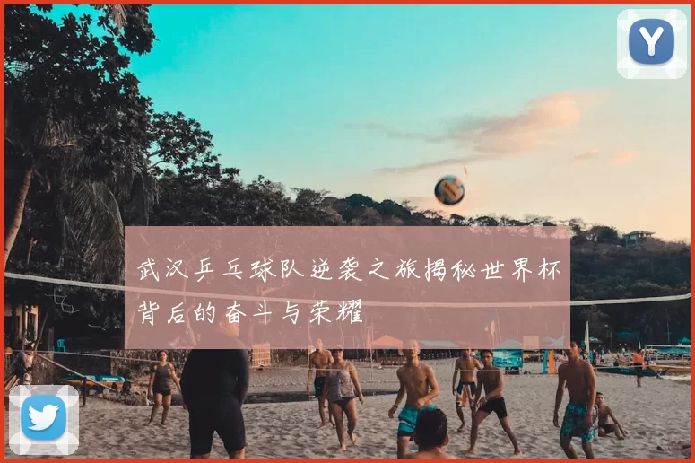 武汉乒乓球队逆袭之旅揭秘世界杯背后的奋斗与荣耀