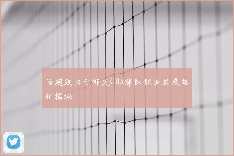 马超效力于哪支CBA球队职业发展路径揭秘