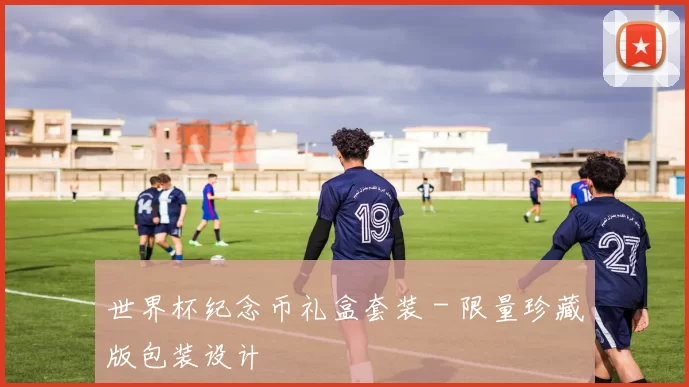 世界杯纪念币礼盒套装 - 限量珍藏版包装设计