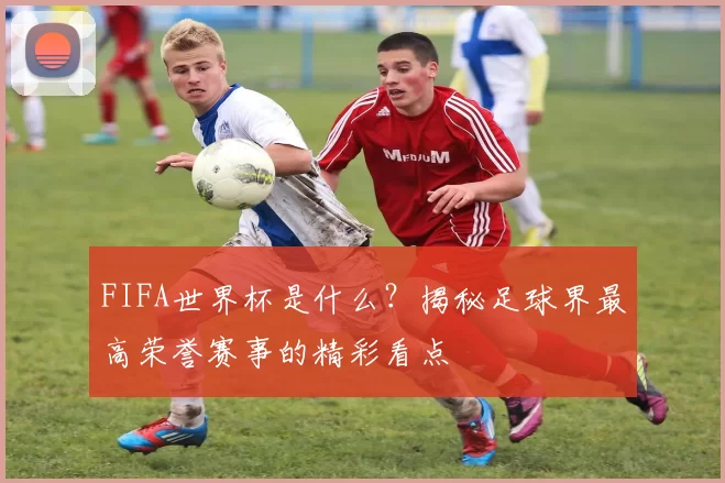 FIFA世界杯是什么?揭秘足球界最高荣誉赛事的精彩看点