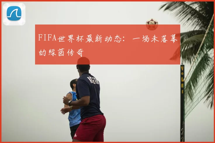 FIFA世界杯最新动态：一场未落幕的绿茵传奇