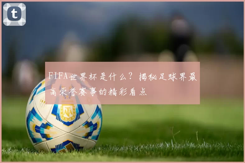 FIFA世界杯是什么?揭秘足球界最高荣誉赛事的精彩看点