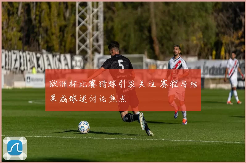 欧洲杯比赛猜球引发关注 赛程与结果成球迷讨论焦点