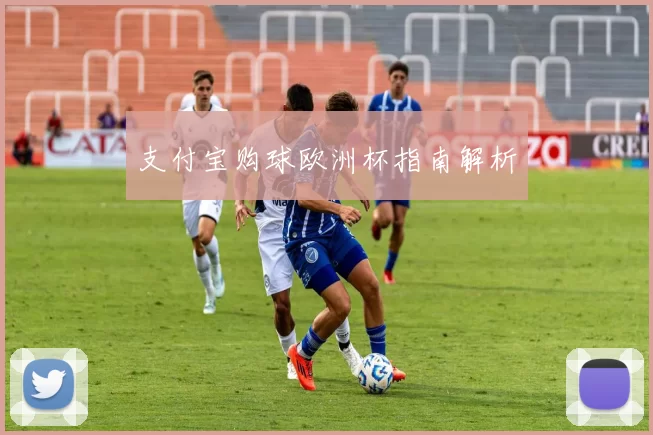 支付宝购球欧洲杯指南解析