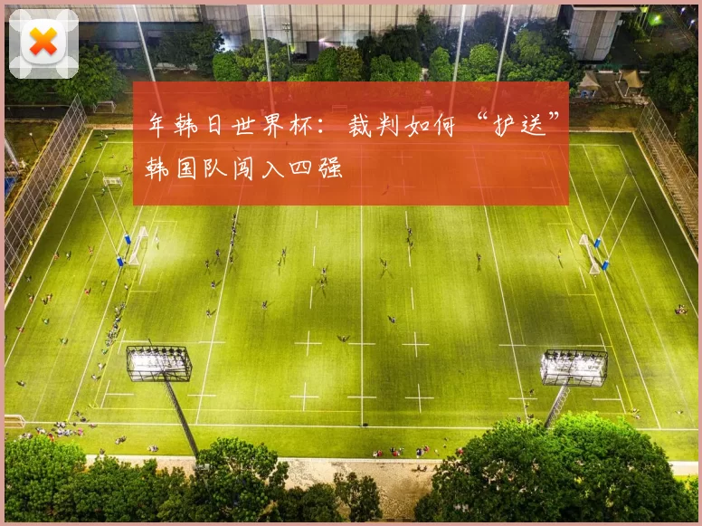 年韩日世界杯：裁判如何“护送”韩国队闯入四强