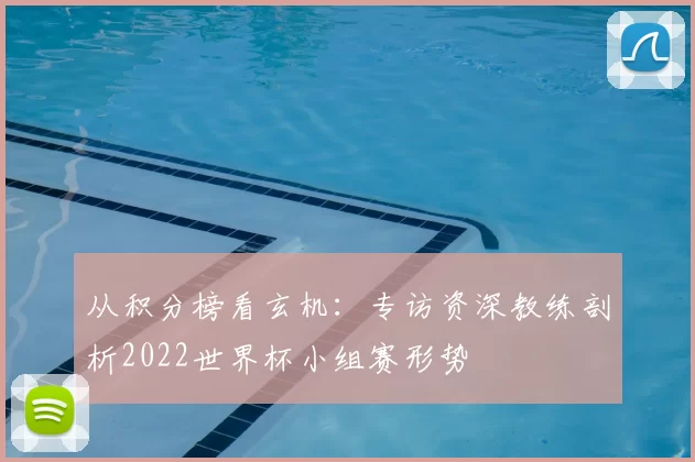 从积分榜看玄机：专访资深教练剖析2022世界杯小组赛形势