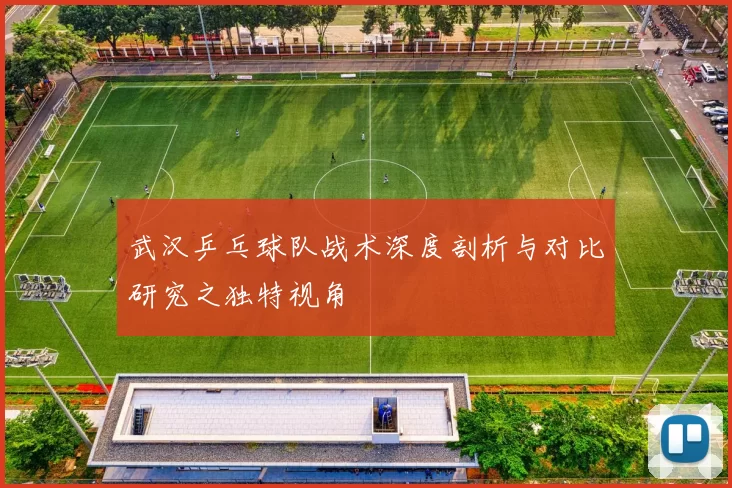 武汉乒乓球队战术深度剖析与对比研究之独特视角