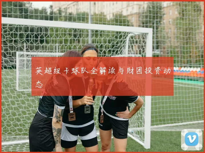 英超纽卡球队全解读与财团投资动态