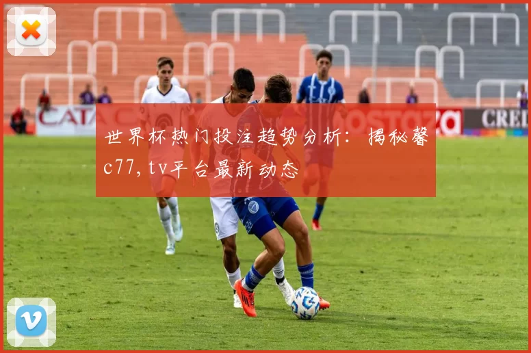世界杯热门投注趋势分析：揭秘馨c77,tv平台最新动态