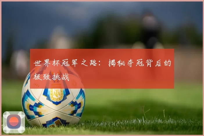 世界杯冠军之路：揭秘夺冠背后的极致挑战